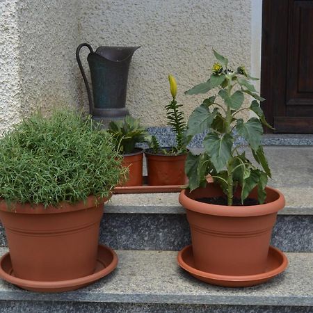 Ollano Da Fulvia Bed & Breakfast エクステリア 写真