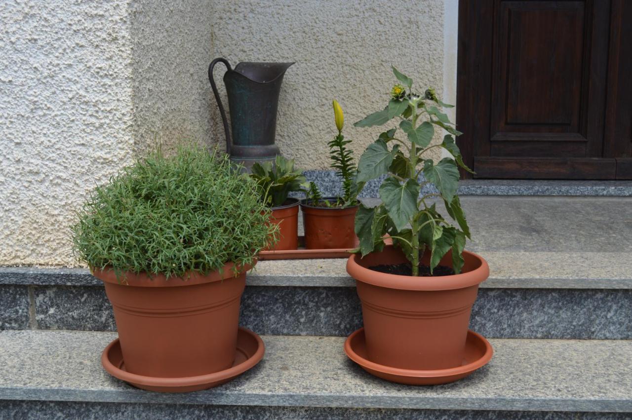 Ollano Da Fulvia Bed & Breakfast エクステリア 写真